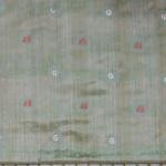 Shiralure Mint Petal Mist